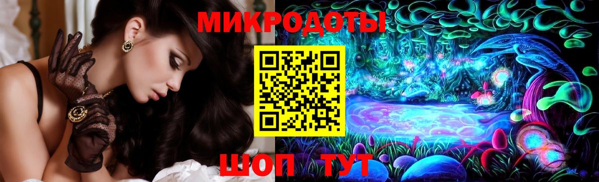 Галлюциногенные грибы Psilocybe Бахчисарай