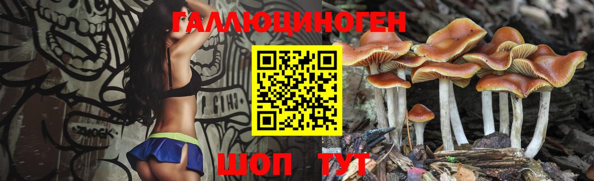 Галлюциногенные грибы ЛСД  Псилоцибиновые грибы Psilocybe  купить   Вход с VPN  Бахчисарай 